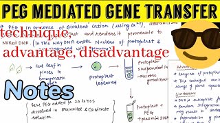 PEG mediated gene transfer Notes 📝😎😎 [upl. by Htebarual]