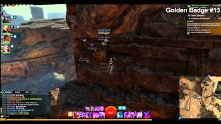 GW2 Go for the Gold Golden Badges Achievement Guide [upl. by Mita]