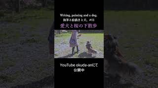 shorts シェルティ 犬 桜 vlog [upl. by Gilson]