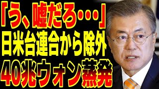 【海外の反応】K国「夢を見ているのか・・・」日米台の半導体連合から除外されて中国に依存した結果→株価36ダウンで40兆ウォンが蒸発！！【総集編】 [upl. by Mccowyn]