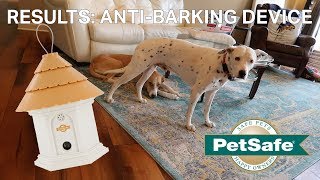 AntiDog Barking Device Results  Petsafe Elite Outdoor Bark Control Device [upl. by Busiek188]