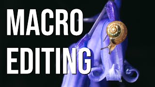 How I edit macro photos like a PRO Lightroom amp focus stacking tutorial [upl. by Gleeson529]