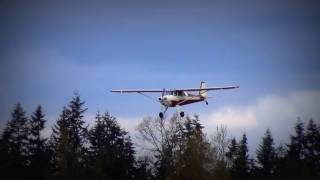 Luscombe 8F First Solo Landing [upl. by Maurita]