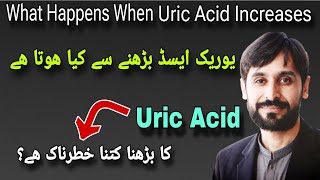 Uric Acid Badhne Se Kya Hota Hai  What Happens When Uric Acid Increases [upl. by Ail]