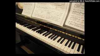 Der Nussbaum Schumann KARAOKEaccompaniment 伴奏Instrumental [upl. by Azral898]