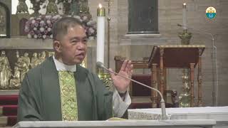 Cathedral Homilies  November 03 Msgr Rolly [upl. by Zilef]