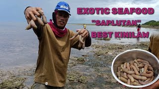 Finding Exotic Seafood quotSAPLUTAN PEANUT WORMquot Catch and kilaw Subrang sarap [upl. by Aitrop921]