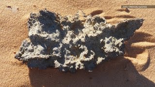 When Lightning Strikes Sand Amazing Glass Sculptures are Formed [upl. by Samantha898]