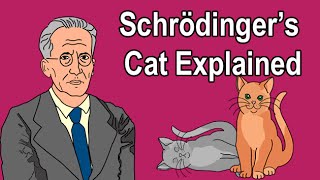 SCHRÖDINGERS CAT EXPLAINED [upl. by Kidd]