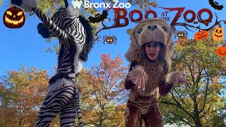 BRONX ZOO’s “BOO AT THE ZOO 🎃👻 [upl. by Acinaj]