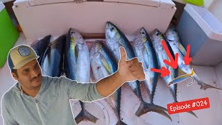 Incroyable Pêche au Thon avec des Leurres Fait Maison  🐟 Pêche à La Réunion [upl. by Reppep683]