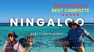 Ningaloo Caravan Adventure Australia’s Most Epic Campground [upl. by Devin]