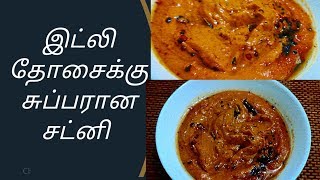 இட்லி தோசைக்கு சுப்பரான சட்னி இது டிரை பண்ணுங்க  peanut tomato chutney chutney recipe [upl. by Tucky]