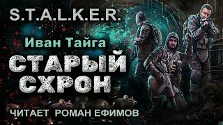 STALKER Старый схрон аудиокнига БОЕВАЯ ФАНТАСТИКА Иван Тайга Читает Роман Ефимов [upl. by Hoag]