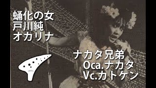 オカリナとチェロ（ナカタ兄弟）「蛹化の女」戸川純 [upl. by Ettevahs362]