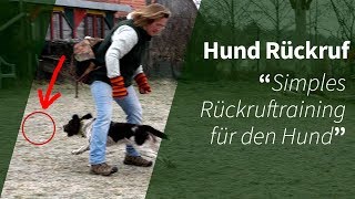 Hund Rückruf ► Simples Rückruftraining für den Hund [upl. by Cinomod]