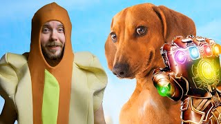 WienerDog  Clip quotA Dog is a Dogquot I HD I IFC Films [upl. by Herson]