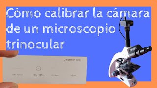 Calibración cámara microscopio trinocular Zuzi [upl. by Lebasile]