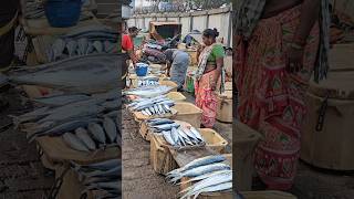 Vizag Fishing Harbour Lo Vintha Chepalu 😳shorts fishingvideos shortsfeed youtubeshorts [upl. by Elletnuahs]