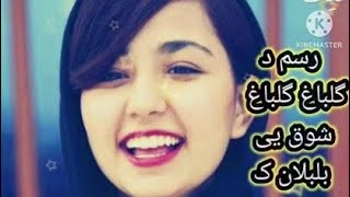 Afghan new edited Song 2023  Gulbagh Gulbagh رسم د گلباغ گلباغ شوق یی بلبلان ک 🍁معرفتی فالووو 🍁کن [upl. by Fe]