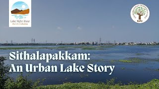 Sithalapakkam An Urban Lake Story  EFIs LakeNightShow [upl. by Blus]