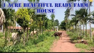 one acre beautiful ready farm house in STRR highwaySTRR [upl. by Anawik729]