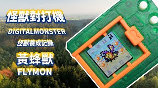 數碼寶貝 怪獸對打機 彩色 Ver5黃蜂獸 Flymon EP13 DIGITAL MONSTER COLOR【阿畦上班偷偷養】 [upl. by Anitroc215]