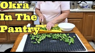 Dehydrating Okra  Adding to the Homestead Pantry [upl. by Enirac]