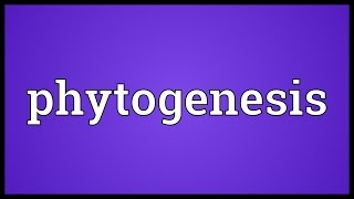 Phytogenesis Meaning [upl. by Iveel]