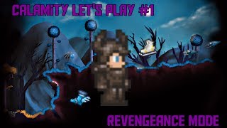 Terraria Calamity Mod Revengeance Mode Lets Play Pt1 [upl. by Lynsey]