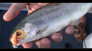 How to Catch Trout at Dillon Reservoir Colorado [upl. by Bette]