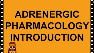 Adrenergic Drugs Part 1  Pharmacology  Dr Najeeb👨‍⚕️ [upl. by Letnwahs]