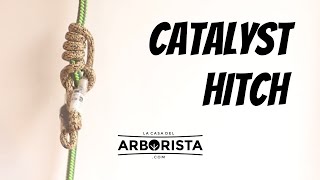 🪢CATALYST CLIMBLING HITCH 🇺🇸 knots climbing treeclimbing [upl. by Zohara]