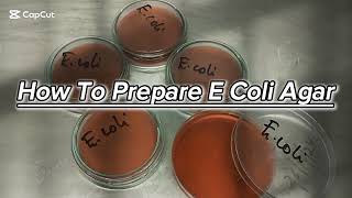 PREPARATION OF ESCHERICHIA COLI  Ecoli AGAR [upl. by Chang]