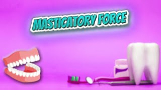 Masticatory force  Everything Dentistry 🍎👄🔊✅ [upl. by Entirb]