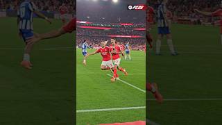 ⚽⚽ DiMaría 🔒 SLBFCP LigaPortugalBetclic Benfica EstádiodaLuz [upl. by Humph]