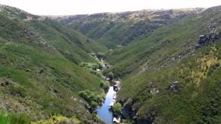 タイエリ峡谷鉄道 Taieri Gorge Railway [upl. by Quintus]