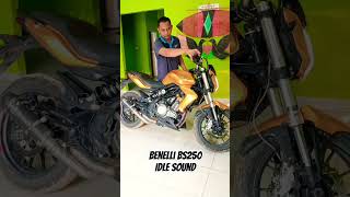 Benelli BS250 Idle Sound Warming benelli [upl. by Zeculon]