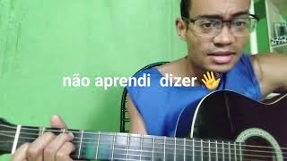 não aprendi dizer adeus [upl. by Ahsiak]