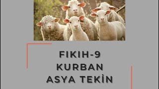 FIKIH9 🐂 Kurban dikab dhbt mbsts [upl. by Eaneg796]