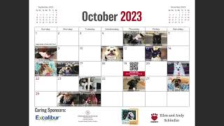 2023 Pet Calendar [upl. by Leunamesoj]