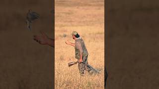 DOVE SEASON IS HERE hunting dove [upl. by Wesley]