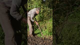 Préparation de la planche de pommes de terre pour lannée prochaine 🥔 [upl. by Wendolyn]