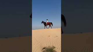 Horse riding in desert Full video how we doing music clipmyhorsetv horsenation horsephotograpy [upl. by Retswerb]