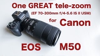 One great 70300mm telezoom for EOS M50 [upl. by Burnie596]