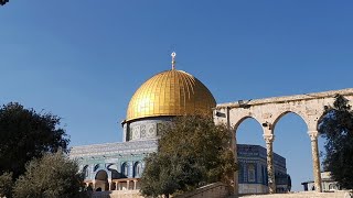 30112024 أذان وصلاة العصر من المسجد الأقصى المبارك Adhan and Asr prayer from AlAqsa Mosque [upl. by Gregoor]