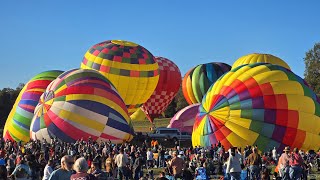 Balloon Festival 2024 [upl. by Tega]