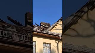 dachstuhl von alten gasthaus alt Brieselang durch feuer🔥 beschädigt 102024 [upl. by Ardnasal]