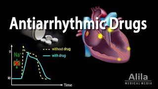 Antiarrhythmic Drugs Animation [upl. by Neelcaj]