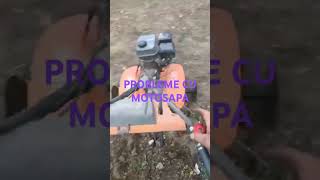 PROBLEME CU MOTOSAPA gardening garden farming foodgarden plant [upl. by Leuqram]